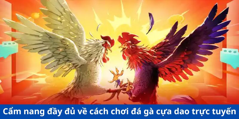 Cẩm nang đầy đủ về cách chơi đá gà cựa dao trực tuyến
